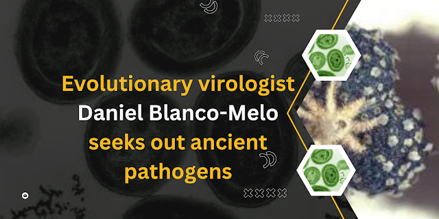 Evolutionary virologist Daniel Blanco-Melo seeks out ancient pathogens