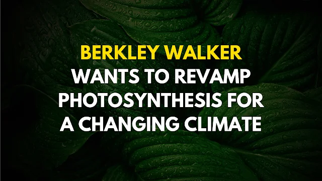 Berkley Walker wants to revamp photosynthesis for a changing climate ketab360