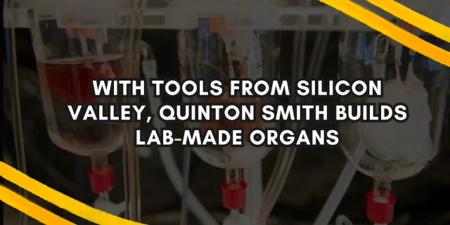 With tools from Silicon Valley, Quinton Smith builds lab-made organs KETAB36O