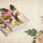 Namal Novel by Nimra Ahmed – PDF Download & Online Reading